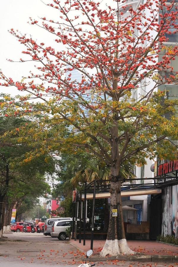 Cozi Hotel Hajfong Zewnętrze zdjęcie